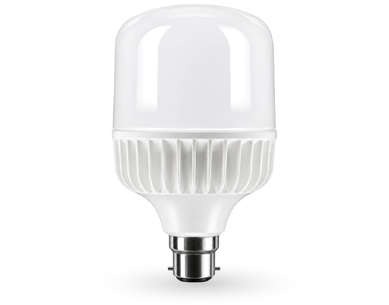 LLM T-BULB
