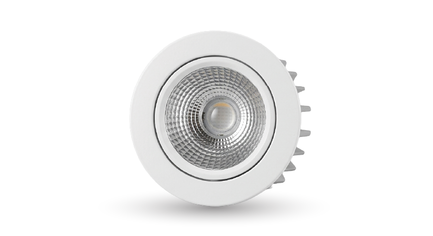LLM COB Downlight-RO